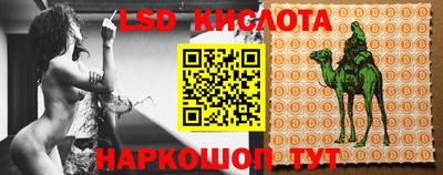 альфа пвп Краснознаменск