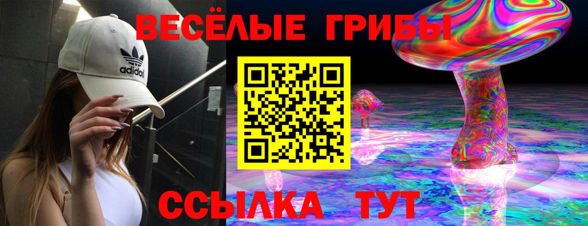 Псилоцибиновые грибы Cubensis Ивантеевка