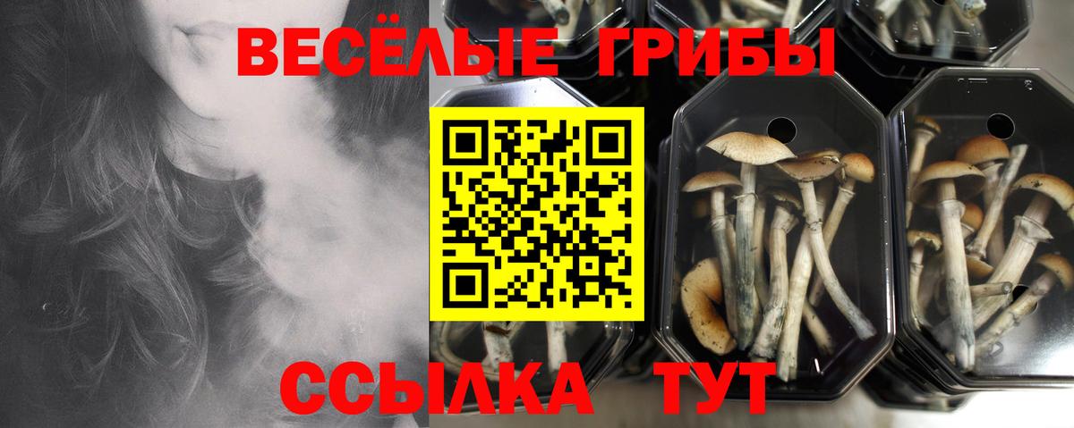 Ивантеевка  Галлюциногенные грибы ЛСД  Вход с VPN  Псилоцибиновые грибы прущие грибы 